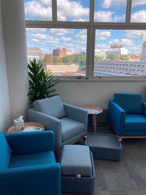 Image of blue lounge chairs in the faculty fellows conference room in Rhodes Hall