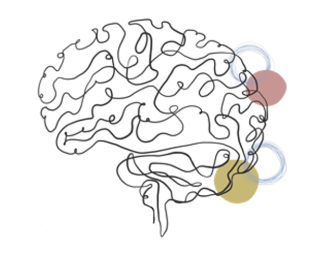 brain image 