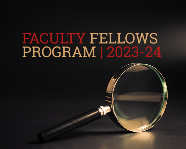 Faculty Fellows Program 2023 to 2024