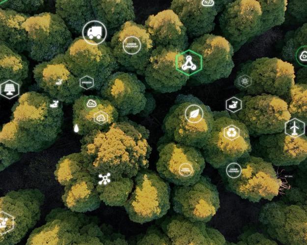 Aerial image of green trees with white data icons over the trees.