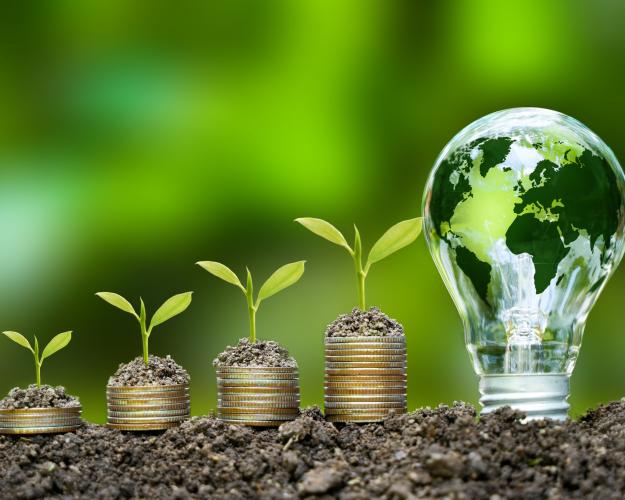 Image of money growing into lightbulb