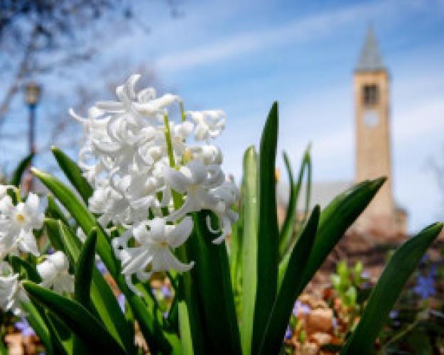 Image of Cornell campus in spring time