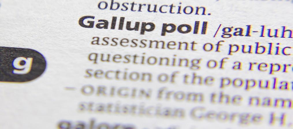 Image of zoom-in page of Gallup-poll.